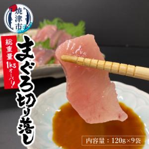 ふるさと納税 焼津市 天然びんちょうまぐろ お刺身パック 合計1kg以上(a10-649)