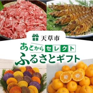 ふるさと納税 天草市 あとからセレクト【ふるさと...の商品画像