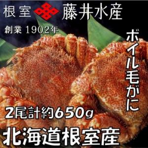 ふるさと納税 根室市 ボイル毛がに2尾(計約650g) A-42101