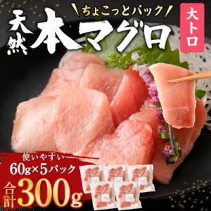 ふるさと納税 室戸市 お刺身ちょこっとパック　天然本まぐろ大トロ5パック