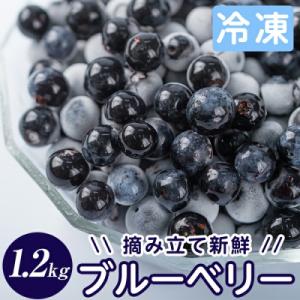 霧島市産ブルーベリー1.2kg(冷凍)【霧島農産加エグループふきのとう】A-050