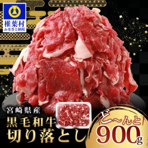 宮崎県産 和牛 切り落とし【900g】TK-35
