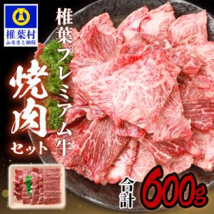 ふるさと納税 椎葉村 宮崎県産 椎葉プレミアム牛 焼肉セット【600g】