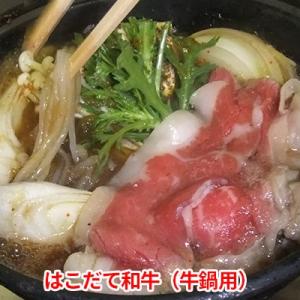 ふるさと納税 木古内町 はこだて和牛(牛鍋)　計600g[No.5217-0017]