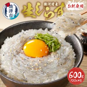 ふるさと納税 焼津市 お刺身用駿河湾産生しらす600g(100g×6パック)(a10-653)｜y-sf