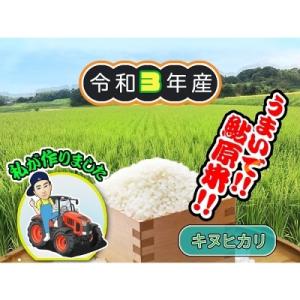 ふるさと納税 洲本市 【令和3年産米】淡路島　鮎原米　キヌヒカリ　10kg:BH03