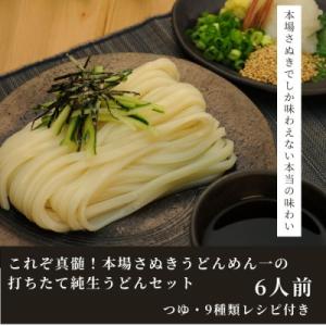 純生!これぞ真髄!本場さぬきうどんめん一の打ちたてうどんセット(6人前)【L-11】