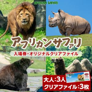 ふるさと納税 宇佐市 アフリカンサファリ入園券大人3枚とオリジナルクリアファイル3枚 【110601...