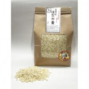 ふるさと納税 愛南町 はだか麦　900g　5個セット