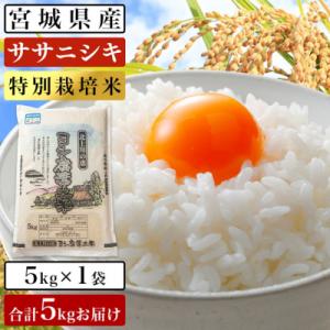 アイテムID:447130の画像1枚目