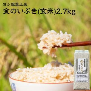 ふるさと納税 石巻市 令和4年産 玄米 宮城県産 ヨシ腐葉土米 金のいぶき 2.7kg(900g×3) 真空パック 小分け