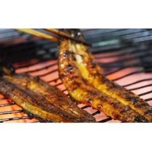 ふるさと納税 愛南町 国産 うなぎ 手焼き 蒲...の詳細画像1