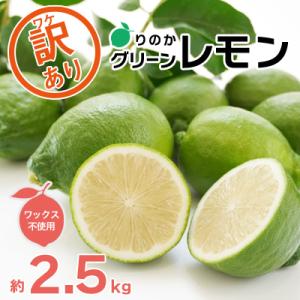 ふるさと納税 愛南町 期間限定 訳あり 傷 グリーン レモン りのか 2.5kg 減農薬 柑橘 檸檬 果物