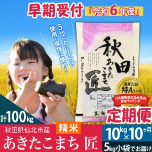 ふるさと納税 仙北市 【白米】令和6年産 新米早期受付《定期便10ヶ月》あきたこまち10kg|02_snk-010610s｜y-sf