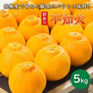 【先行受付】 訳あり 不知火 5kg 2027年3月下旬～ 愛媛県 愛南町 愛南フルーツ