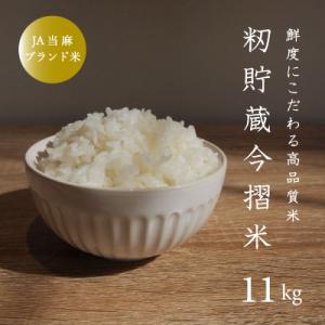 ふるさと納税 当麻町 【先行受付】令和6年産 きたくりん精米11kg【A-021】