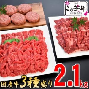 ふるさと納税 西都市 国産この華牛【計2.1kg】3種盛り(ロース焼肉・ハンバーグ・切落し)[1874]