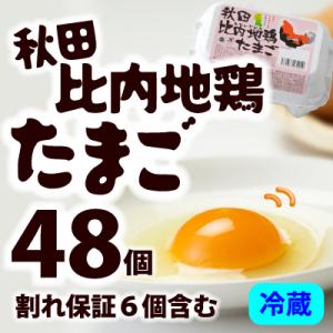 ふるさと納税 大館市 秋田比内地鶏たまご48個