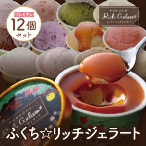 ふるさと納税 福智町 ふくち☆リッチジェラート プレミアム(12個セット)