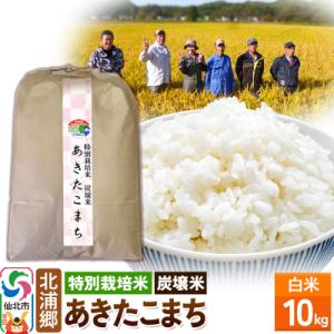 ふるさと納税 仙北市 【特別栽培米 炭壌米 あきたこまち】令和5年産 白米 10kg|02_kum-...