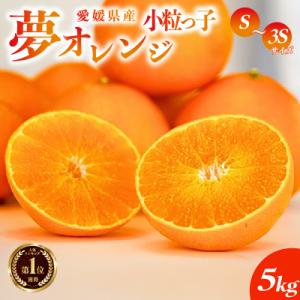 ふるさと納税 愛南町 【紅まどんな と同品種】【訳あり】みかん職人の夢オレンジ 小粒っ子 5kg み...