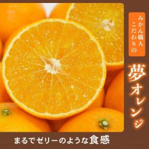 ふるさと納税 愛南町 紅まどんな と同品種【訳...の詳細画像1