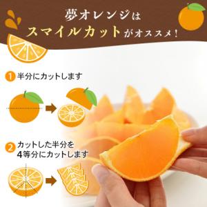 ふるさと納税 愛南町 紅まどんな と同品種【訳...の詳細画像2