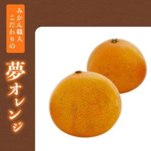 ふるさと納税 愛南町 紅まどんな と同品種【訳...の詳細画像3