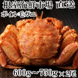 記事番号:33333/アイテムID:607629の画像