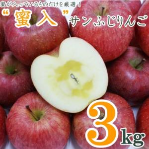 【R8年発送】蜜入りだけ厳選!蜜入サンふじりんご3kg_H126(R8)