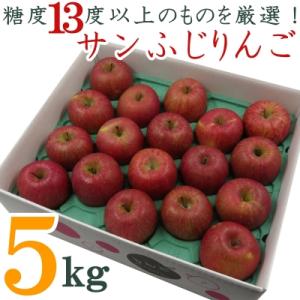 ふるさと納税 長井市 糖度13度以上厳選!サンふじりんご5kg_H127(R4)
