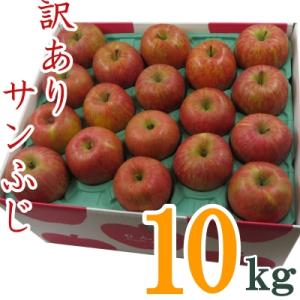 ふるさと納税 長井市 【R8年発送】訳ありリンゴ...の商品画像