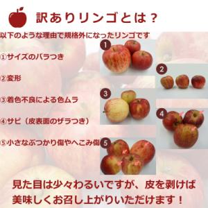 ふるさと納税 長井市 【R8年発送】訳ありリン...の詳細画像2