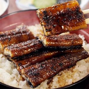 ふるさと納税 西都市 炭火焼一筋「うなぎの入船...の詳細画像1