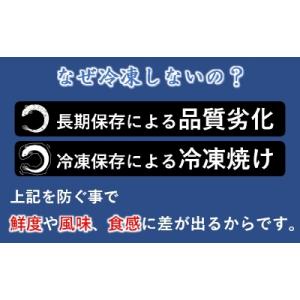 ふるさと納税 西都市 炭火焼一筋「うなぎの入船...の詳細画像3