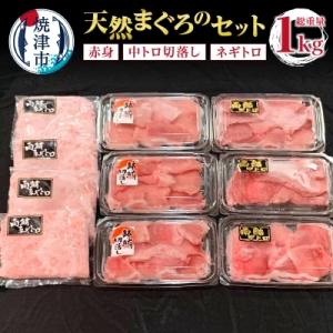 ふるさと納税 焼津市 天然 まぐろ 赤身 ・ 中トロ 切落し と ネギトロ の セット(a20-323)