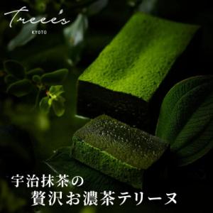 【TREEE’S】お濃茶テリーヌ | 京都 ギフト 洋菓子 抹茶 スイーツ 人気