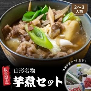 ふるさと納税 河北町 【 数量限定 】山形名物 いも煮セット 本場芋煮のたれ付き!2〜3人前