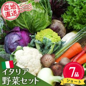 ふるさと納税 神埼市 イタリア野菜セットショート 7品 (H078145)