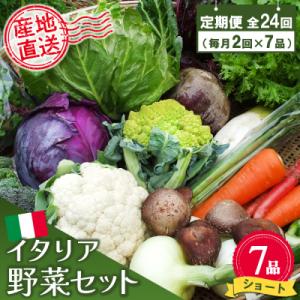 ふるさと納税 神埼市 年間定期便24回 イタリア野菜セットショート 7品 (H078147)｜y-sf