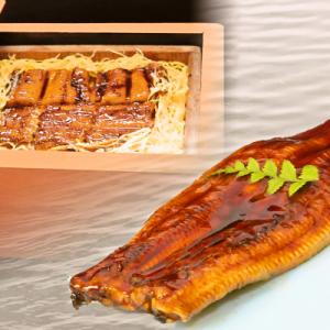 ふるさと納税 神埼市 九州産特大うなぎ1尾(カット済み)(H071121)