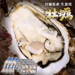 ふるさと納税 石巻市 牡蠣 宮城県産 生食用 牡蠣(もちかき)セット(450g+24粒)