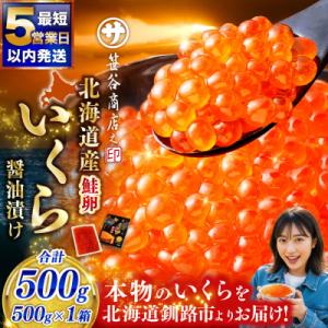 【5営業日以内発送】新物 【北海道産】いくら醤油漬け500g×1箱 いくら