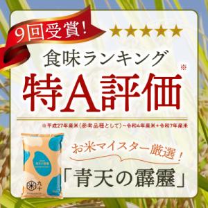 ふるさと納税 五所川原市 【定期便 12ヶ月】...の詳細画像2