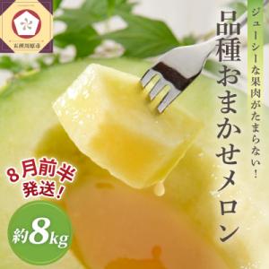 【2026年8月前半発送】津軽のメロン 約8kg 青肉 4～6玉 秀～優 青森県産