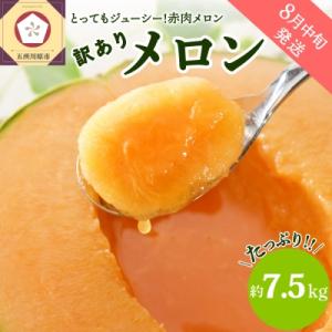 ふるさと納税 五所川原市 【2024年8月中旬発送】【訳あり】メロン7.5kg程度(赤肉4〜8玉)津軽産