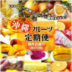 ふるさと納税 豊見城市  沖縄フルーツ定期便(年12回コース)