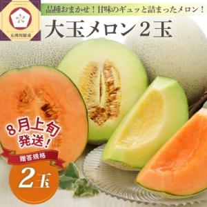 【2026年8月上旬発送】メロン2玉入り 大玉 贈答規格 青森メロン 津軽産