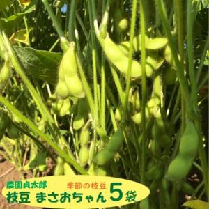 アイテムID:360442の画像1枚目