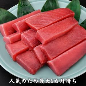 ふるさと納税 三浦市 これを選べば間違いなし!業務用　三崎の天然マグロ2kg(最大6カ月待ち)